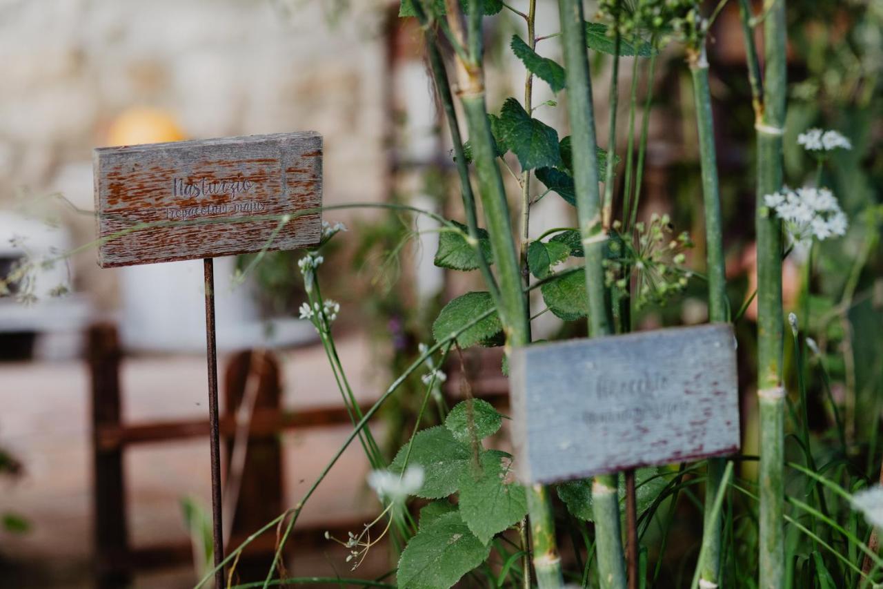 Abbazia Sette Frati Agriturismo Fratres Pietrafitta  エクステリア 写真