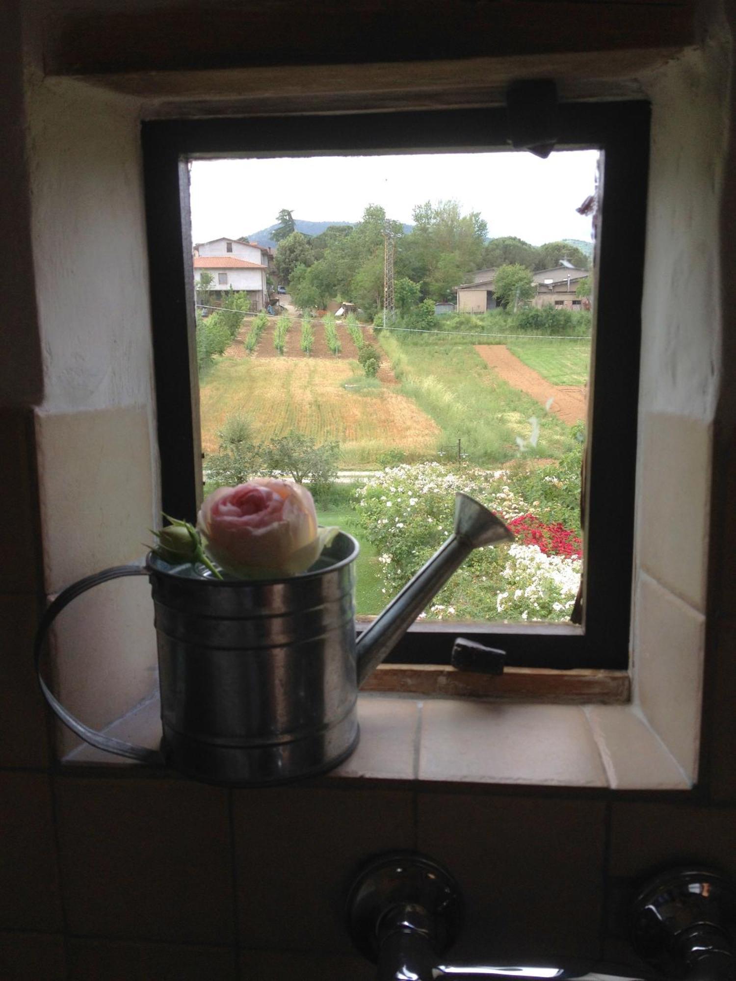Abbazia Sette Frati Agriturismo Fratres Pietrafitta  部屋 写真